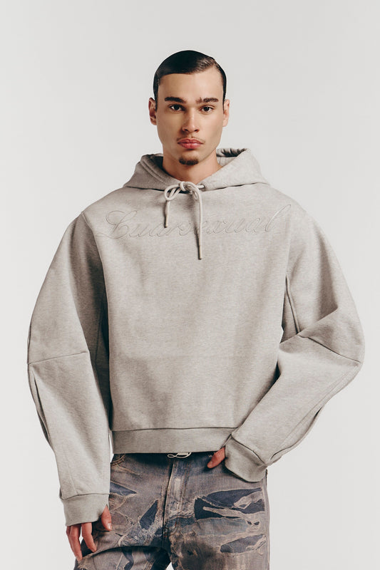 Luarsexual Hoodie in Grey
